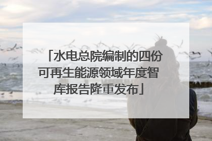 水电总院编制的四份可再生能源领域年度智库报告隆重发布